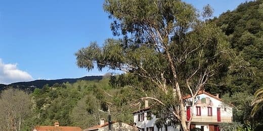 T2 N°3, Gites du Camps de Las Basses