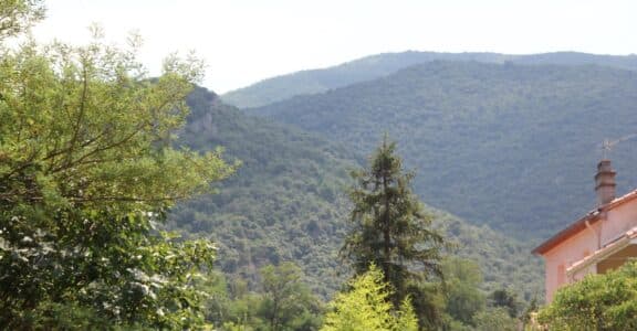 Villa mitoyenne T3 avec jardin – Delbos