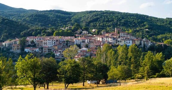 T2 N° 63 , 38 Rue des Thermes – Aubert-Sala